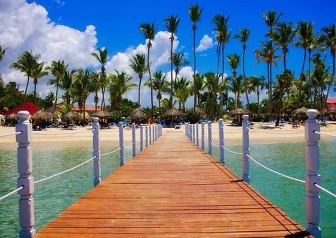 Palm Trees on the Beach Stock Photos