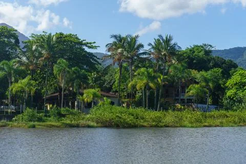Palm trees at the beach Foto stock