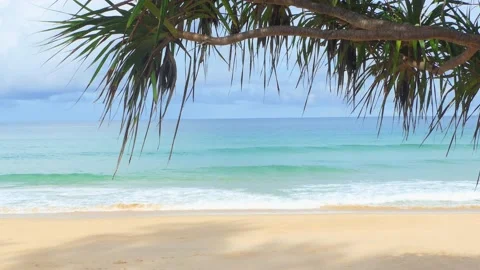 Palm trees on the beach at Phuket Beach, Thailand Vídeo Stock 163583324