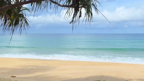 Palm trees on the beach at Phuket Beach, Thailand 库存影片 163583339