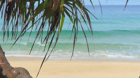 Palm trees on the beach at Phuket Beach, Thailand Vídeo Stock 164418490