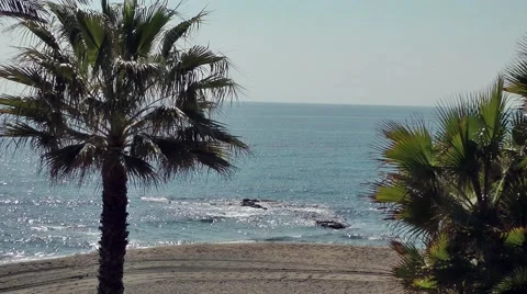 Palm trees beach sand sea waves rocks movement Video stock 48469239