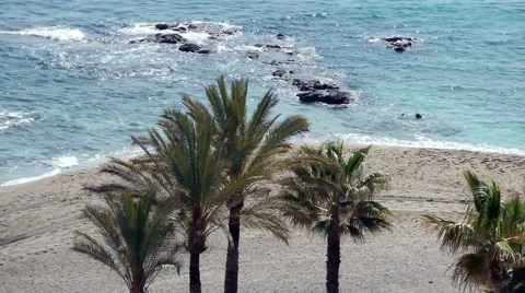Palm trees beach sand sea rocks waves movement Stock Footage 48622355
