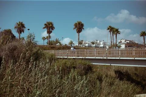 Palm trees on the beach in spain Stock Photos
