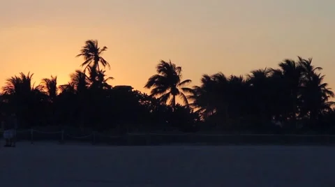 Palm Trees Beach Sunset  스톡 동영상 47792226