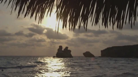 Palm trees on the beach at sunset  Stock Footage 72382977