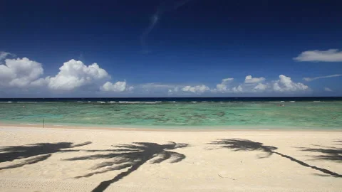 Palm Trees, Beaches, and Shade Stock Footage 324923786