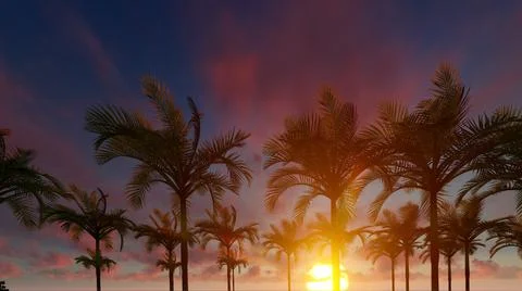 Palm trees with beautiful sunset in the background, 3d illustration Stock Illustration