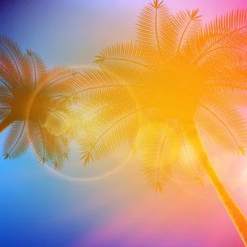 Palm trees with beautiful sunset. Stock Illustration