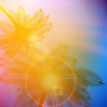 Palm trees with beautiful sunset. Stock Illustration