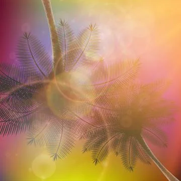 Palm trees with beautiful sunset. Stock Illustration