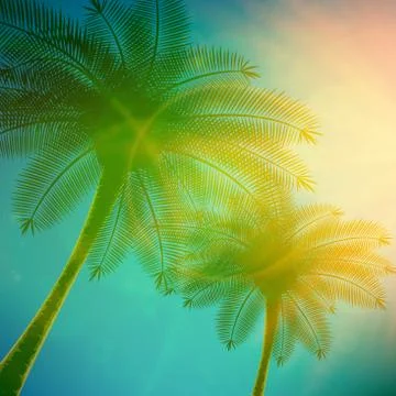 Palm trees with beautiful sunset. Stock Illustration