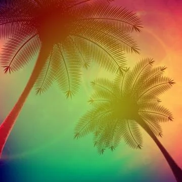 Palm trees with beautiful sunset. Stock Illustration