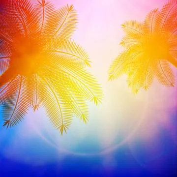Palm trees with beautiful sunset. Stock Illustration