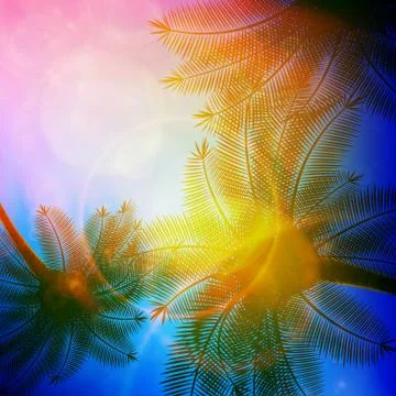 Palm trees with beautiful sunset. Stock Illustration