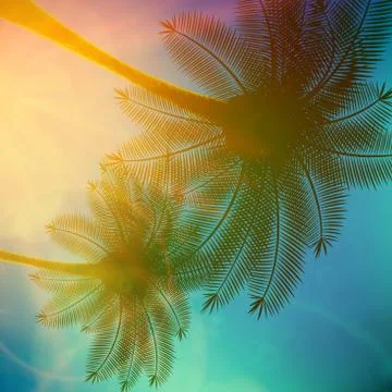 Palm trees with beautiful sunset. Stock Illustration