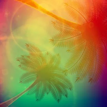Palm trees with beautiful sunset. Stock-Illustration