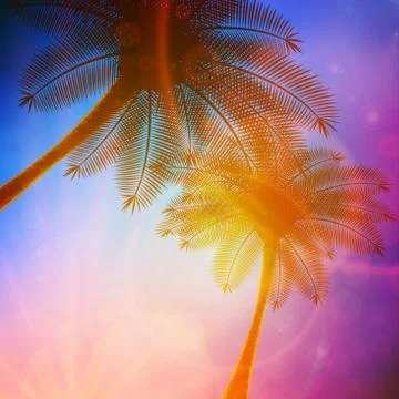 Palm trees with beautiful sunset. Stock Illustration
