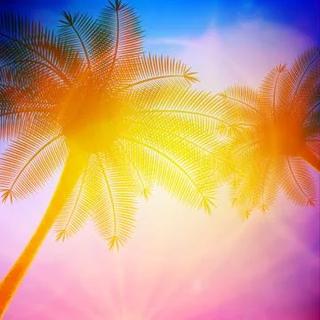 Palm trees with beautiful sunset. Stock Illustration