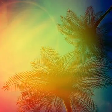 Palm trees with beautiful sunset. Stock Illustration