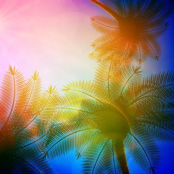 Palm trees with beautiful sunset. Stock Illustration