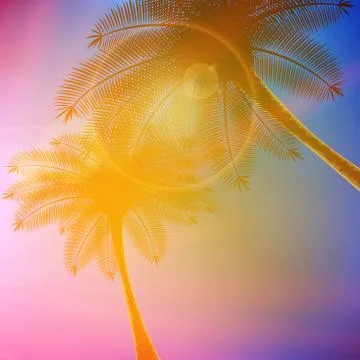 Palm trees with beautiful sunset. Stock-Illustration