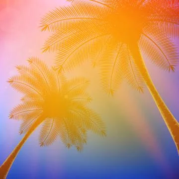 Palm trees with beautiful sunset. Stock Illustration
