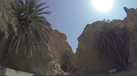 Palm trees between hills in a Tunisian location Stock Footage 54924854