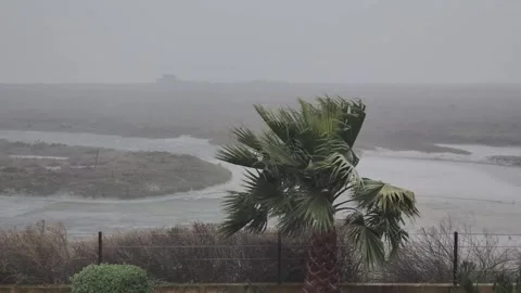 Palm Trees Blowing in Powerful Coastal Storm in Algarve Portugal Stock Footage 346180757