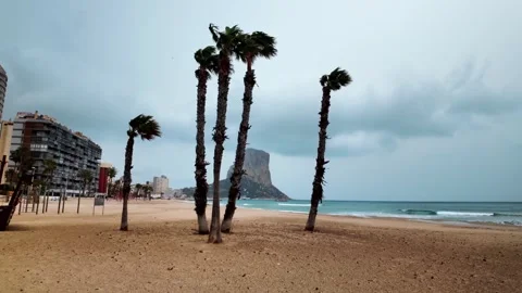 Palm trees blowing in strong wind on empty Calpe beach, Spain Stock Footage 342317839