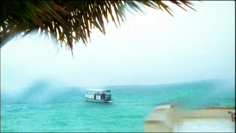 Palm trees blowing in the wind in the foreground, water on the camera distorting 動画素材 95616736