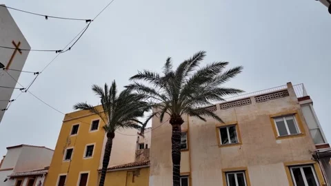 Palm trees blowing in wind at old town plaza, Calpe, Spain Stock Footage 342317873