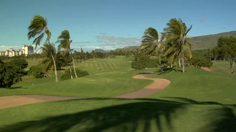 Palm trees blowing in the wind overlooking golf course Video stock 125332758