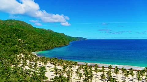 Palm trees, blue ocean, and natural scenery. Paradise beach, aerial view. Stock Footage 332011548