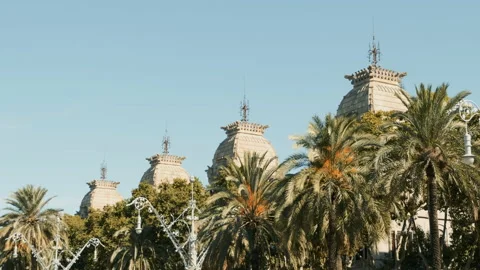 Palm trees on blue sky background in sunny Barcelona Stock Footage 130207330