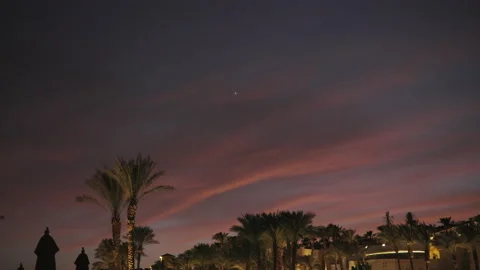Palm Trees on a blue sky background. Slow Motion, Looking Up at night Stock Footage 169831830