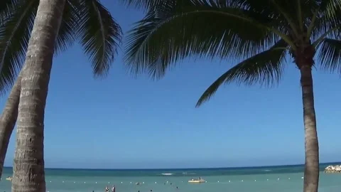 Palm trees , blue sky, beach in the Caribbean Stock Footage 138898780