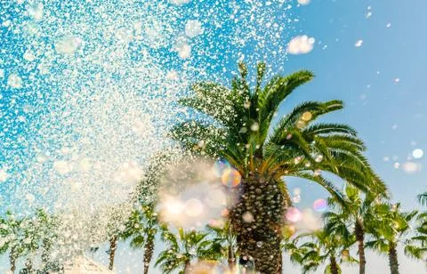 Palm trees with bubbles and defocused soap foam from pool party blower against Stock Photos