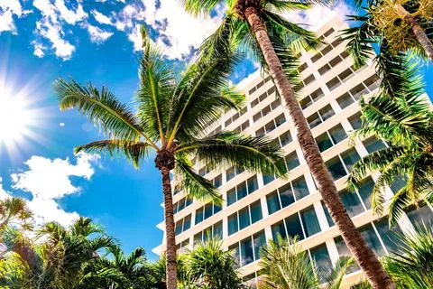 Palm trees with building on background Stock Photos