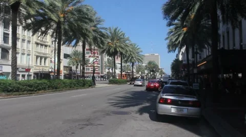 Palm Trees, Cable Car on Canal Street Vidéo 8514963