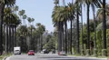 Palm Trees, Car Traffic in Beverly Hills near Sunset Boulevard, Los Angeles, USA HD Footage