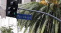 Palm Trees Car Traffic Light Los Angeles Hollywood Street Sign Semaphore Holiday HD Footage