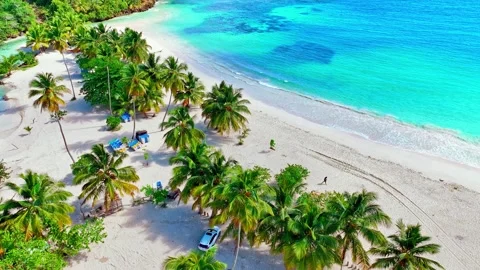 Palm trees on Caribbean sandy beach with blue sea on summer sunny day.  Stock Footage 304901730