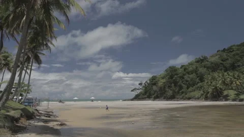 Palm trees by the coast 스톡 동영상 147869434