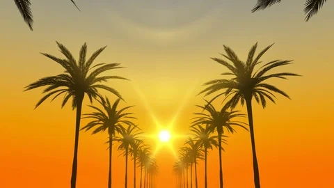 Palm trees on coastal road loop Stock Footage 83328641