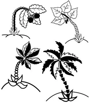Palm trees collection Stock Illustration