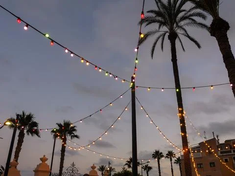 Palm trees decorated with colorful string lights at dusk Stock Photos