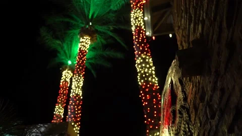 Palm Trees Decorated in Red and White String Lights with Water Flowing Stock Footage 148894432