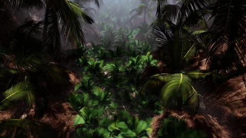 Palm Trees In Dense Rainforest Jungle Ilustración de archivo
