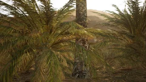 Palm trees in the desert Stock Illustration